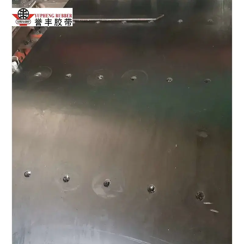 Ceinture élévatrice à godets en corde d'acier